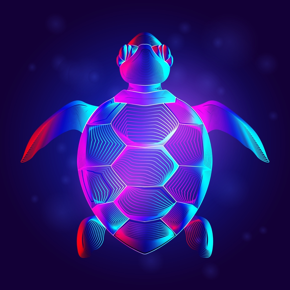 Silent Cyber Invasion: Sea Turtle in the Netherlands