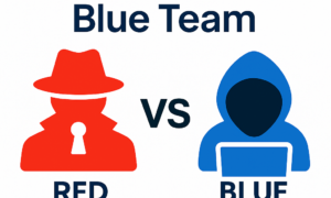 red team vs blue team